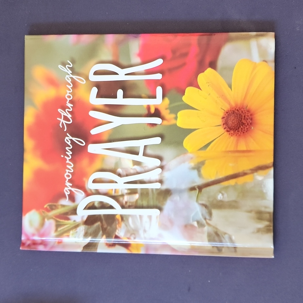 3 For $9 - 3 Book Set Growing with Prayer, Faith, & Lord You Have My Heart - Picture 2 of 15